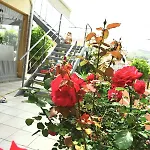 Mika's B Luxury House Near Faliraki شقة